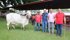 Agricultura familiar terá condições especiais no 3º Leilão Genética de Berço