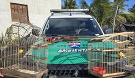 Três espingardas foram apreendidas e duas aves silvestres resgatadas durante fiscalização no interior de Alagoas