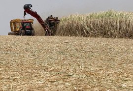Produção de etanol anidro cresce 22,3% no Nordeste, diz NovaBio