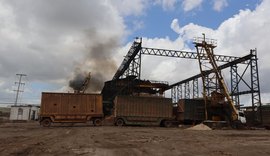 Mais de 18,5 milhões de toneladas foram esmagadas na safra 23/24