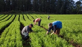 Deputado apela ao governo para a elaboração de projetos voltados para agricultura familiar