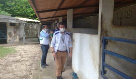Vigilância Sanitária notifica haras com irregularidades na criação dos animais