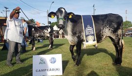 71ª Expoagro/AL vai sediar eventos regionais da raça Girolando
