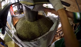 Exportadores de café gastam R$ 3 milhões ao mês com problemas portuários