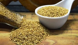Brasil abre dois novos mercados para produtos do agronegócio