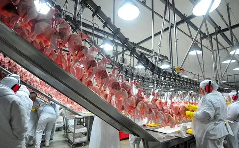 Exportações de carne de frango tendem a crescer 6% este ano