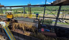 Usinas moeram mais de 230 mil toneladas de cana-de-açúcar em Alagoas