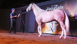 13ª Vaquejada e Trabalho aposta em facilidades de comércio