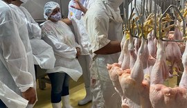Cooperativas da agricultura familiar conhecem indústria de abate de aves