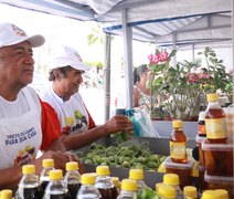 Comunidade Boa Vista é destaque com produtos agroecológicos na feira da agricultura familiar em Delmiro Gouveia