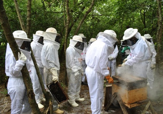 3º Encontro de Amigos Criadores de Abelha sem Ferrão