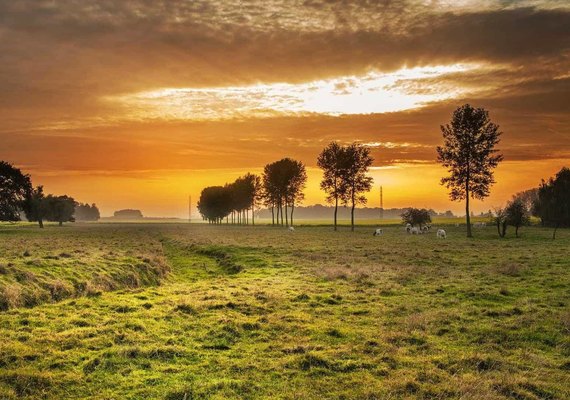 Mais de 5,7 milhões entregam declaração do ITR 2019 dentro do prazo