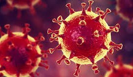 Alagoas registra 514 novos casos de covid-19 neste sábado