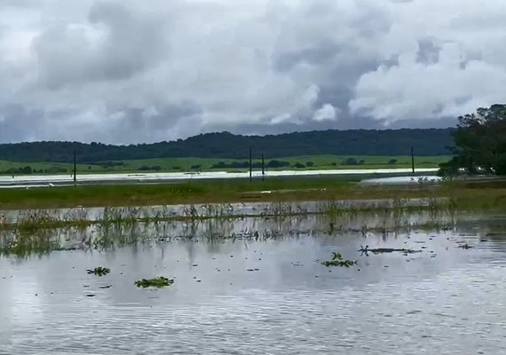 Estima-se perda de 40 mil toneladas de cana em Alagoas devido às chuvas