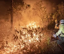 Brasil teve 11,39 milhões de hectares atingidos pelo fogo este ano