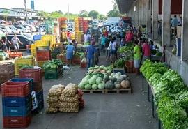 Alagoas importa 6,5 vezes mais frutas e hortaliças do que produz