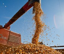 Brasil pode bater recorde de safra com 354,8 milhões de toneladas de grãos