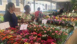 Feira de Flores de Holambra chega a Maceió com catálogo diversificado