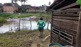 Multas por infrações ambientais na Área de Proteção Ambiental de Murici somam R$ 157 mil