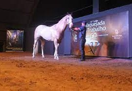 Agro CPMF e Haras Porto Rico promovem 2º etapa do Vaquejada e Trabalho