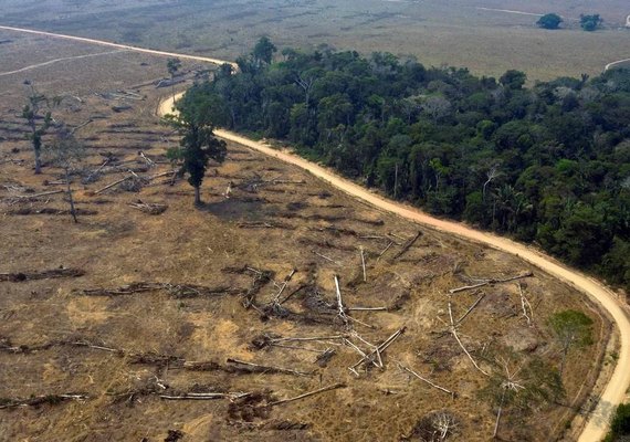 Bolsonaro diz a Biden que não aceita suborno para preservar Amazônia