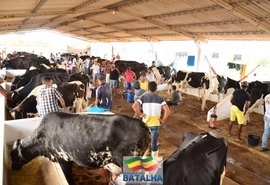 Pindorama lança produto na 37ª Expo Bacia Leiteira