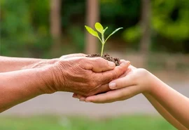 Práticas mostram a preocupação do cooperativismo com o futuro da sociedade