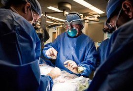 Primeira cirurgia de transplante de rim de porco para humano é realizada com sucesso