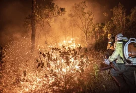 Brasil teve 11,39 milhões de hectares atingidos pelo fogo este ano