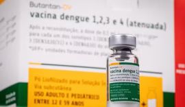 Ministério suspende aplicação da vacina da dengue do Butantan no Brasil
