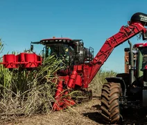 Números oficiais: safra 25/26 é encerrada com 17,9 milhões de toneladas de cana esmagadas