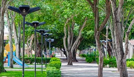 Consulta pública define diretrizes para arborização urbana em Alagoas
