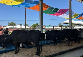 Com apoio do Governo de Alagoas, 74ª Expoagro registra o maior público de todas as edições