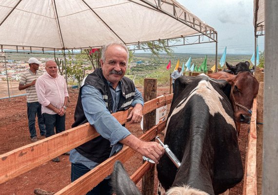 Adeal inicia oficialmente a campanha de vacinação contra aftosa de 2022