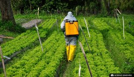 Agricultor precisa usar somente defensivos registrados para evitar prejuízos, diz especialista