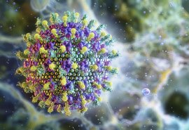 Nipah: saiba mais sobre o vírus que preocupa a SIA