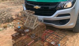 Em dois dias de operação, guarnições da PM apreendem armas, animais silvestres e um veículo