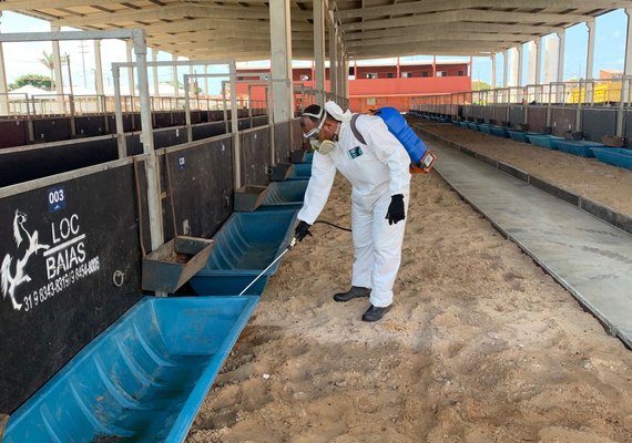 Expoagro: Parque da Pecuária começa a receber animais nesta segunda-feira (21)