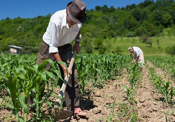 Garantia-Safra autoriza pagamento para agricultores familiares de Alagoas