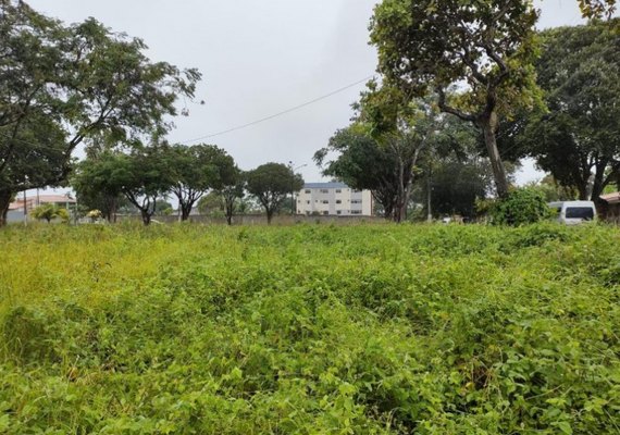 Terreno abandonado: população pode denunciar e proprietários sofrerem punição