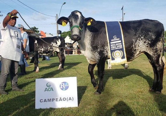 71ª Expoagro/AL vai sediar eventos regionais da raça Girolando