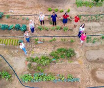 Hortas Urbanas unem a alimentação saudável ao combate à fome em Alagoas