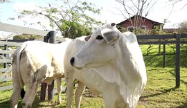 Agro Feira IBC movimenta quase R$ 1 mi em negócios em Alagoas