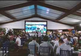 Leilão Nelore Positivo aquece mercado de novilha nelore e bate a média de R$ 25 mil por lote