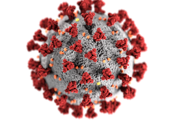 Alagoas tem 113.205 casos da Covid-19 e 2.665 óbitos