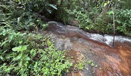 Rota do Cacau fortalece ecoturismo em Matriz de Camaragibe