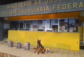 Polícia Rodoviária apreende mais de 50 kg de drogas na BR-101 com a ajuda de cão farejador