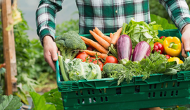 MAPA traça medidas para garantir a segurança alimentar da população