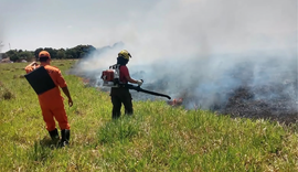 Bombeiros combatem incêndio em imóveis em São Miguel dos Milagres