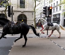 Pânico em Londres: cavalos militares fogem e ferem ao menos 4 pessoas
